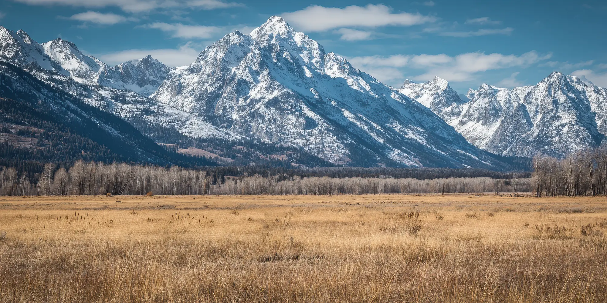 2025 USA Buffalo 1oz Gold Coin